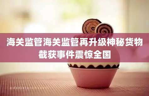 海关监管海关监管再升级神秘货物截获事件震惊全国