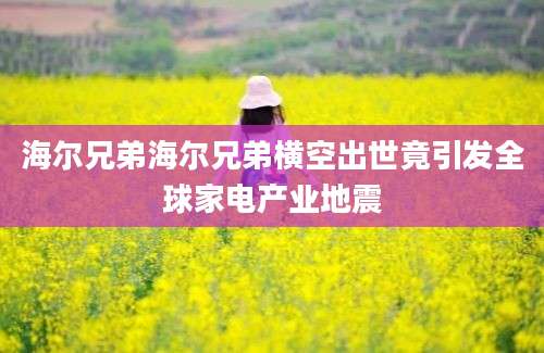 海尔兄弟海尔兄弟横空出世竟引发全球家电产业地震
