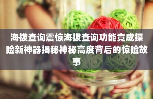 海拔查询震惊海拔查询功能竟成探险新神器揭秘神秘高度背后的惊险故事
