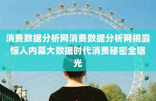 消费数据分析网消费数据分析网揭露惊人内幕大数据时代消费秘密全曝光