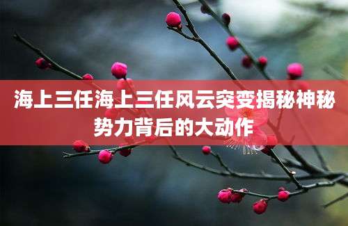 海上三任海上三任风云突变揭秘神秘势力背后的大动作