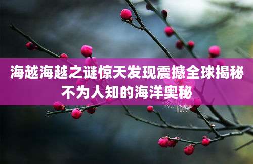 海越海越之谜惊天发现震撼全球揭秘不为人知的海洋奥秘