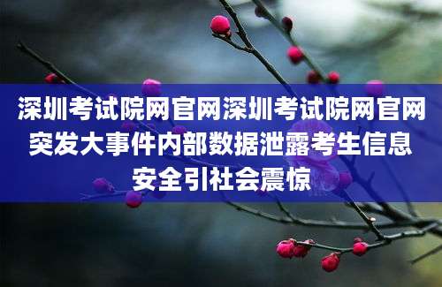 深圳考试院网官网深圳考试院网官网突发大事件内部数据泄露考生信息安全引社会震惊