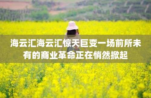 海云汇海云汇惊天巨变一场前所未有的商业革命正在悄然掀起