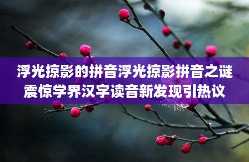 浮光掠影的拼音浮光掠影拼音之谜震惊学界汉字读音新发现引热议