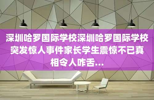 深圳哈罗国际学校深圳哈罗国际学校突发惊人事件家长学生震惊不已真相令人咋舌...