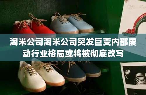 淘米公司淘米公司突发巨变内部震动行业格局或将被彻底改写