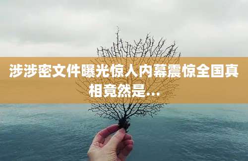 涉涉密文件曝光惊人内幕震惊全国真相竟然是...
