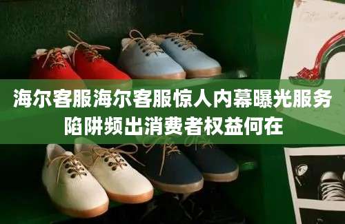海尔客服海尔客服惊人内幕曝光服务陷阱频出消费者权益何在
