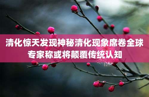 清化惊天发现神秘清化现象席卷全球专家称或将颠覆传统认知