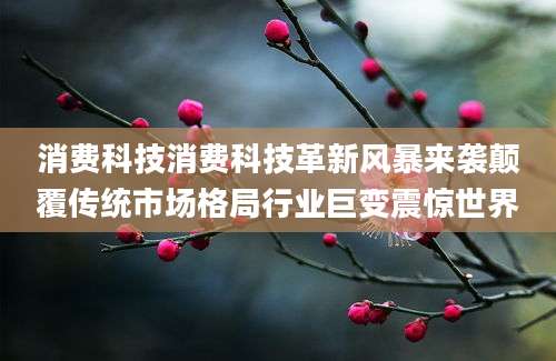 消费科技消费科技革新风暴来袭颠覆传统市场格局行业巨变震惊世界