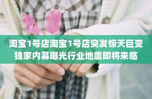 淘宝1号店淘宝1号店突发惊天巨变独家内幕曝光行业地震即将来临