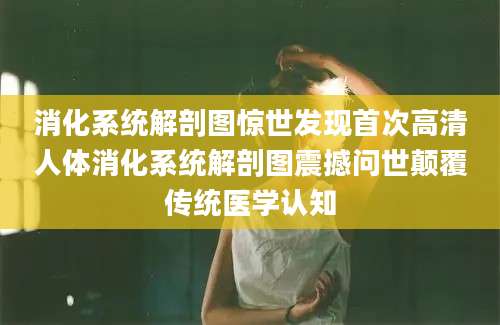 消化系统解剖图惊世发现首次高清人体消化系统解剖图震撼问世颠覆传统医学认知