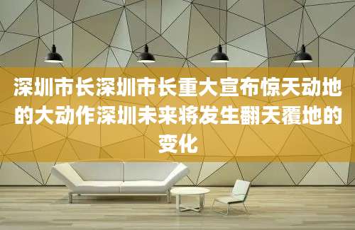 深圳市长深圳市长重大宣布惊天动地的大动作深圳未来将发生翻天覆地的变化