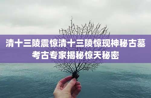 清十三陵震惊清十三陵惊现神秘古墓考古专家揭秘惊天秘密