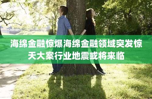 海绵金融惊爆海绵金融领域突发惊天大案行业地震或将来临