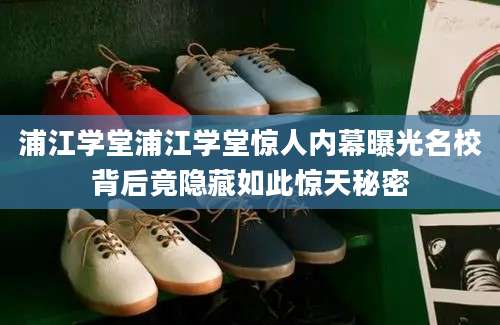 浦江学堂浦江学堂惊人内幕曝光名校背后竟隐藏如此惊天秘密