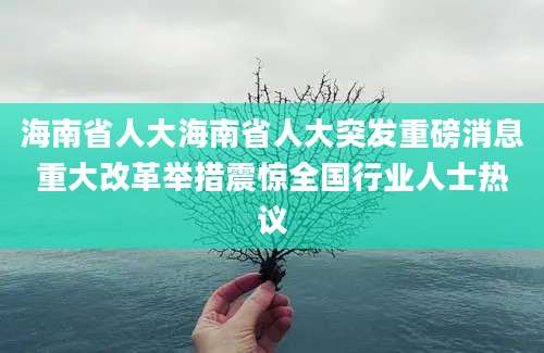 海南省人大海南省人大突发重磅消息重大改革举措震惊全国行业人士热议