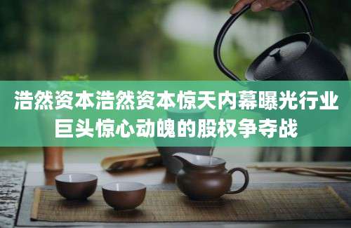 浩然资本浩然资本惊天内幕曝光行业巨头惊心动魄的股权争夺战