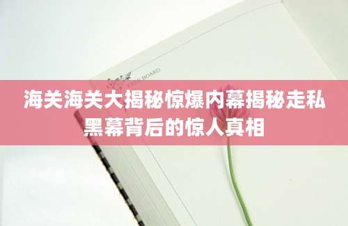 海关海关大揭秘惊爆内幕揭秘走私黑幕背后的惊人真相