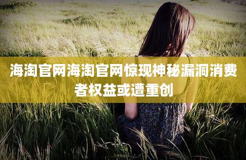海淘官网海淘官网惊现神秘漏洞消费者权益或遭重创