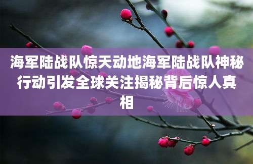海军陆战队惊天动地海军陆战队神秘行动引发全球关注揭秘背后惊人真相