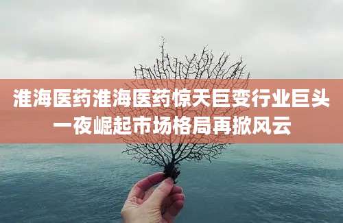 淮海医药淮海医药惊天巨变行业巨头一夜崛起市场格局再掀风云