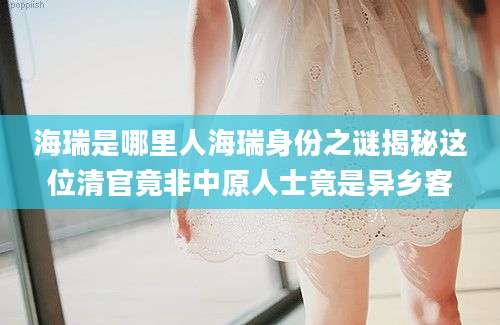 海瑞是哪里人海瑞身份之谜揭秘这位清官竟非中原人士竟是异乡客
