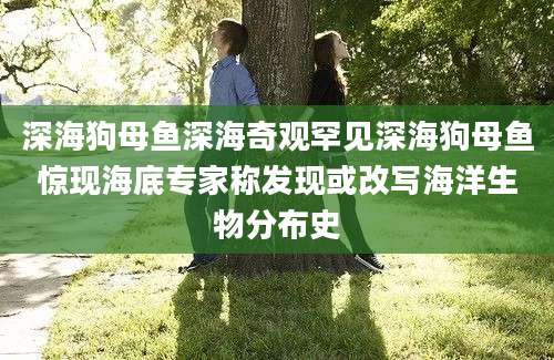 深海狗母鱼深海奇观罕见深海狗母鱼惊现海底专家称发现或改写海洋生物分布史