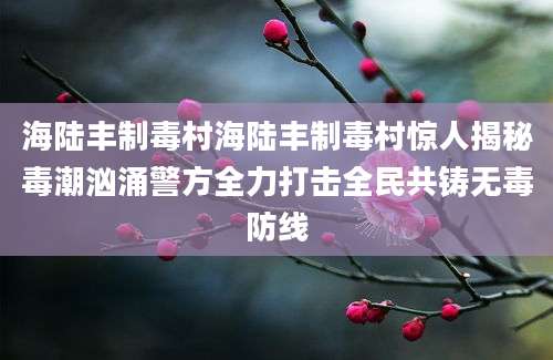 海陆丰制毒村海陆丰制毒村惊人揭秘毒潮汹涌警方全力打击全民共铸无毒防线
