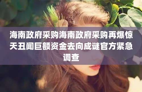 海南政府采购海南政府采购再爆惊天丑闻巨额资金去向成谜官方紧急调查