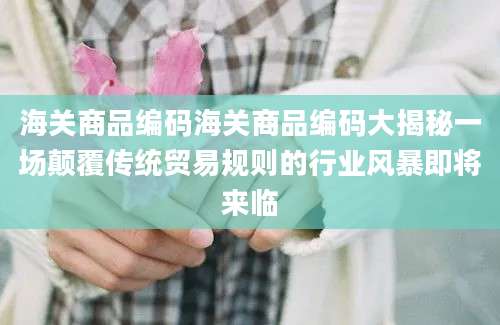 海关商品编码海关商品编码大揭秘一场颠覆传统贸易规则的行业风暴即将来临