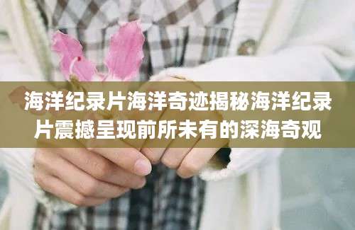 海洋纪录片海洋奇迹揭秘海洋纪录片震撼呈现前所未有的深海奇观