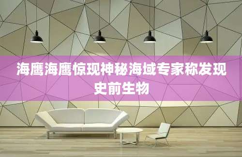 海鹰海鹰惊现神秘海域专家称发现史前生物