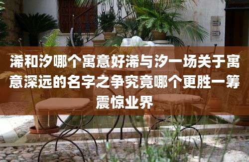 浠和汐哪个寓意好浠与汐一场关于寓意深远的名字之争究竟哪个更胜一筹震惊业界