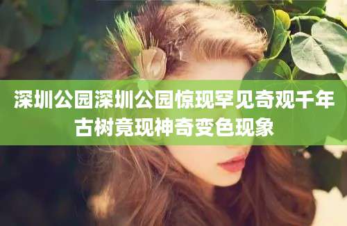 深圳公园深圳公园惊现罕见奇观千年古树竟现神奇变色现象