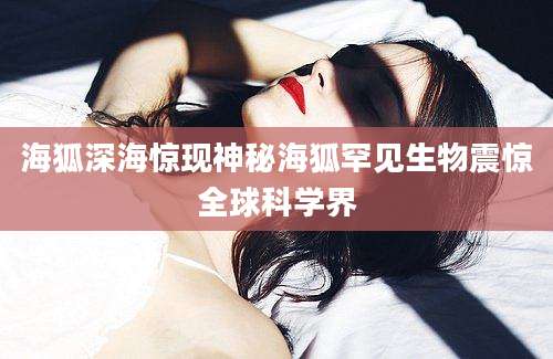 海狐深海惊现神秘海狐罕见生物震惊全球科学界