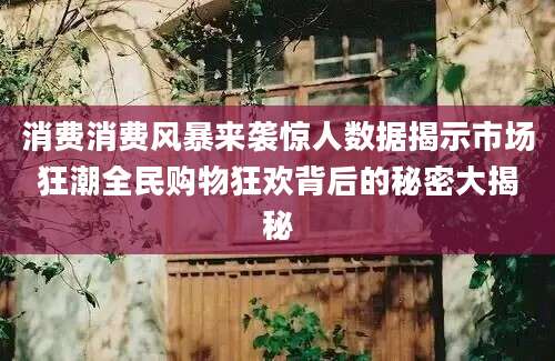 消费消费风暴来袭惊人数据揭示市场狂潮全民购物狂欢背后的秘密大揭秘