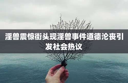 淫兽震惊街头现淫兽事件道德沦丧引发社会热议