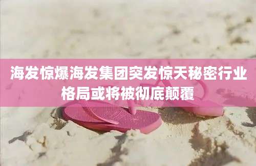 海发惊爆海发集团突发惊天秘密行业格局或将被彻底颠覆