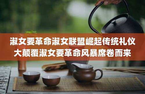 淑女要革命淑女联盟崛起传统礼仪大颠覆淑女要革命风暴席卷而来
