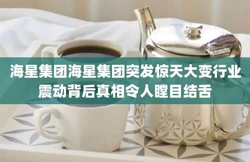 海星集团海星集团突发惊天大变行业震动背后真相令人瞠目结舌