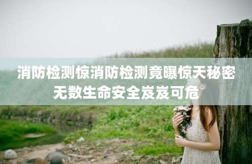 消防检测惊消防检测竟曝惊天秘密无数生命安全岌岌可危