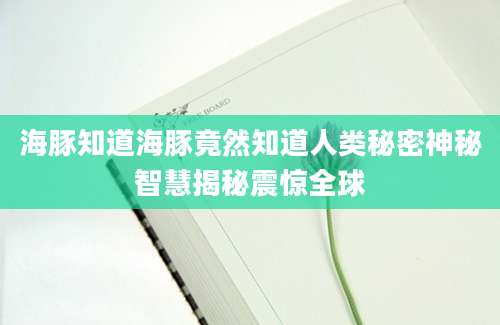 海豚知道海豚竟然知道人类秘密神秘智慧揭秘震惊全球