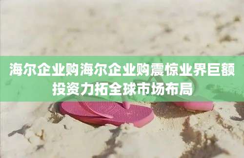 海尔企业购海尔企业购震惊业界巨额投资力拓全球市场布局