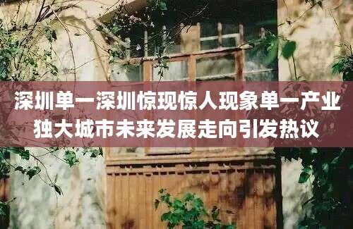 深圳单一深圳惊现惊人现象单一产业独大城市未来发展走向引发热议