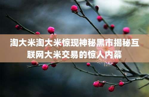 淘大米淘大米惊现神秘黑市揭秘互联网大米交易的惊人内幕